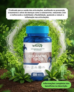 Colágeno Tipo 2 - 120 cápsulas de 500mg