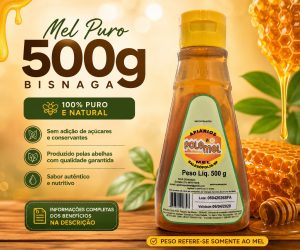 Mel Puro Bisnaga Apiário Pole Mel - 500g